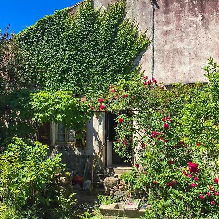 Le Mas Du Figuier, Maison De Vacances Le Bousquet-d'Orb Esterno foto