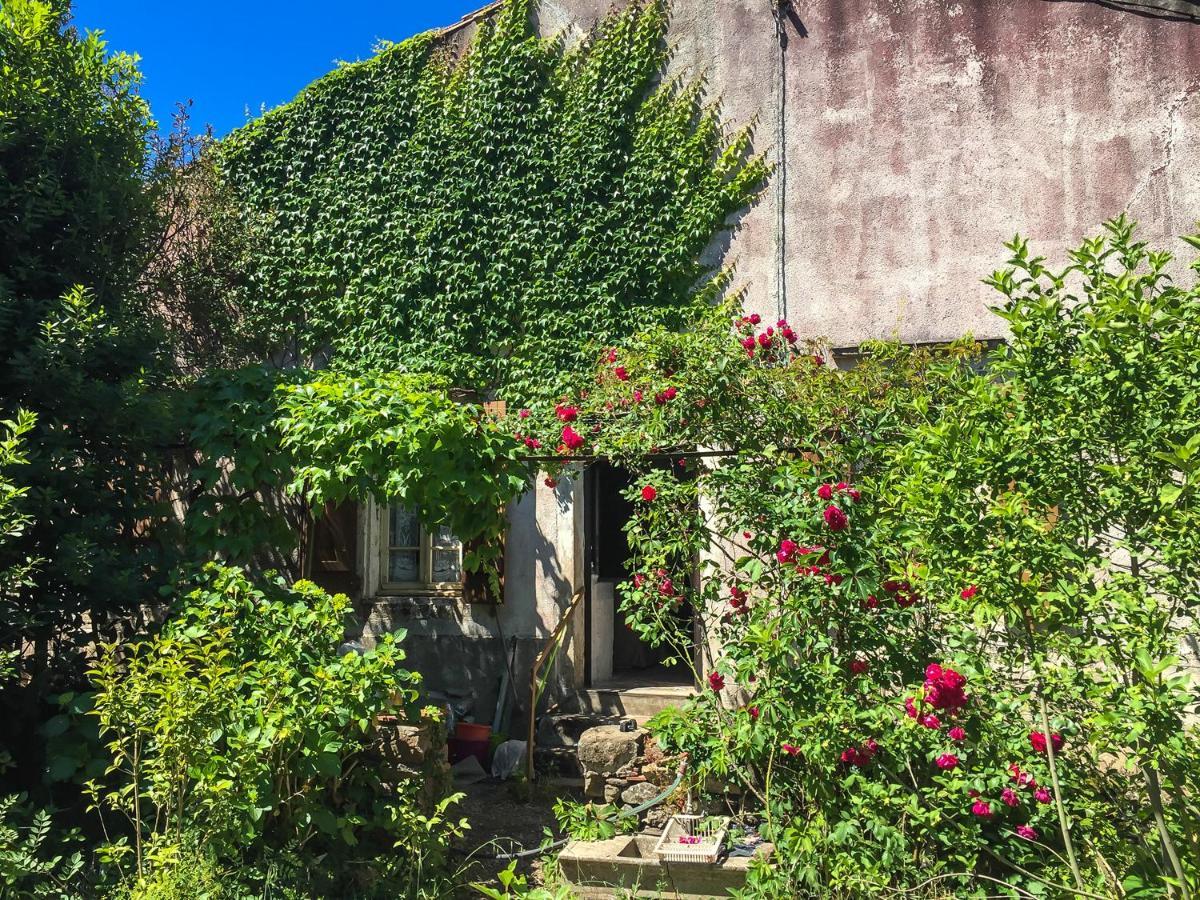 Le Mas Du Figuier, Maison De Vacances Le Bousquet-d'Orb Esterno foto