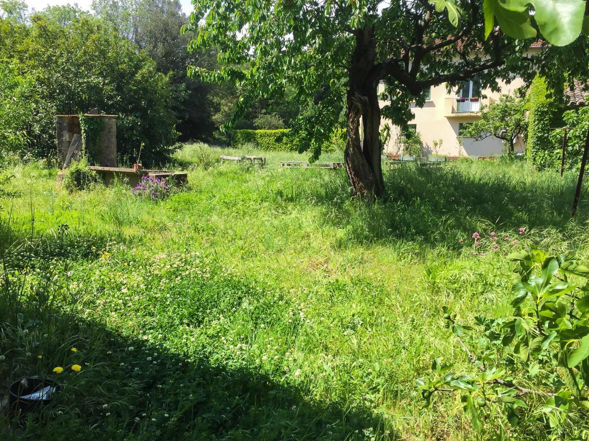 Le Mas Du Figuier, Maison De Vacances Le Bousquet-d'Orb Esterno foto